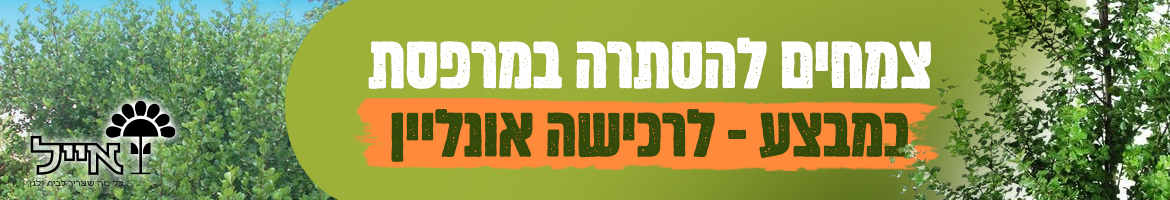 צמחים-להסתרה-במרפסת