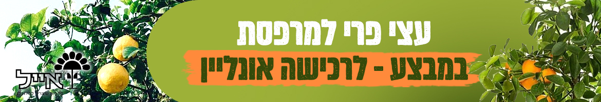 עצי-פרי-למרפסת