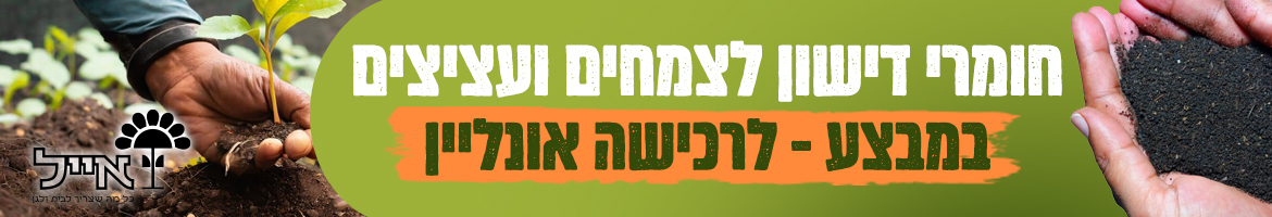 חומרי-דישון